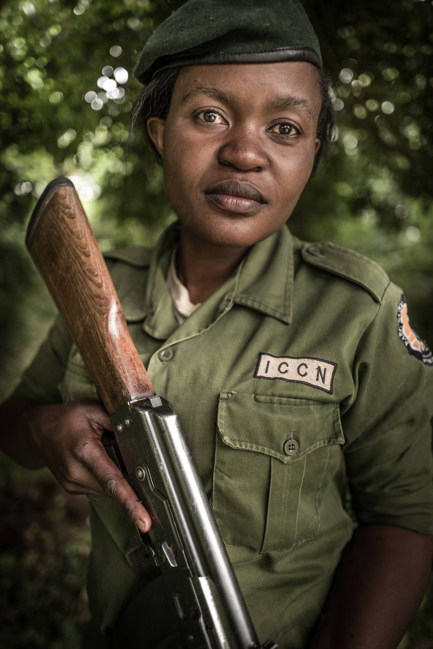 Virunga, DR Congo